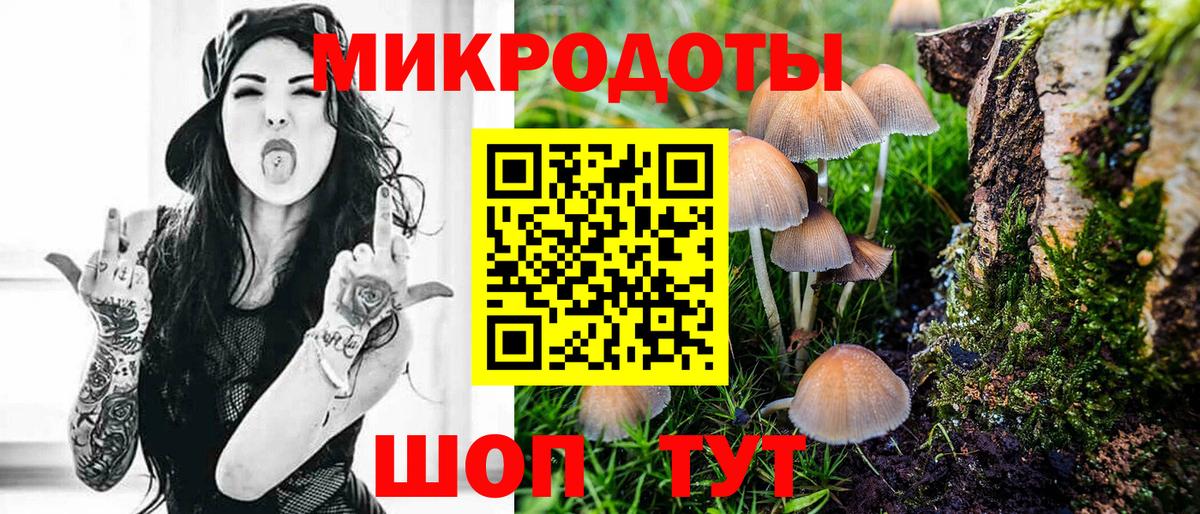 Галлюциногенные грибы мицелий Кохма