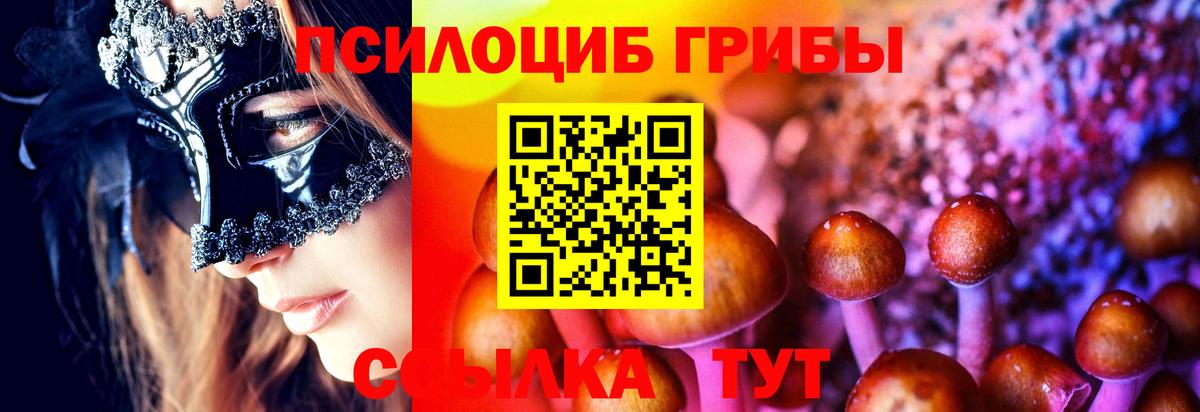 где можно купить наркотик  Галлюциногенные грибы Psilocybine cubensis  Вход с VPN  Кохма 