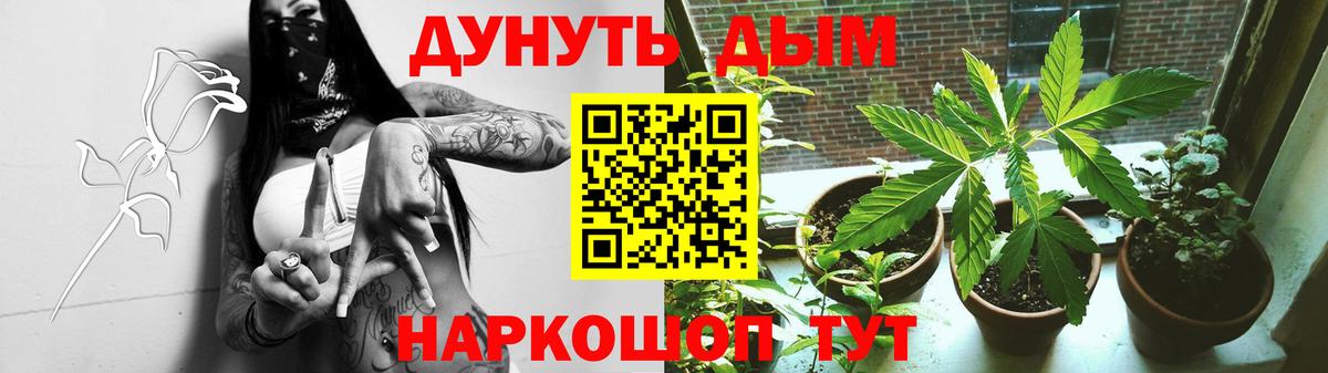 Конопля OG Kush Кохма
